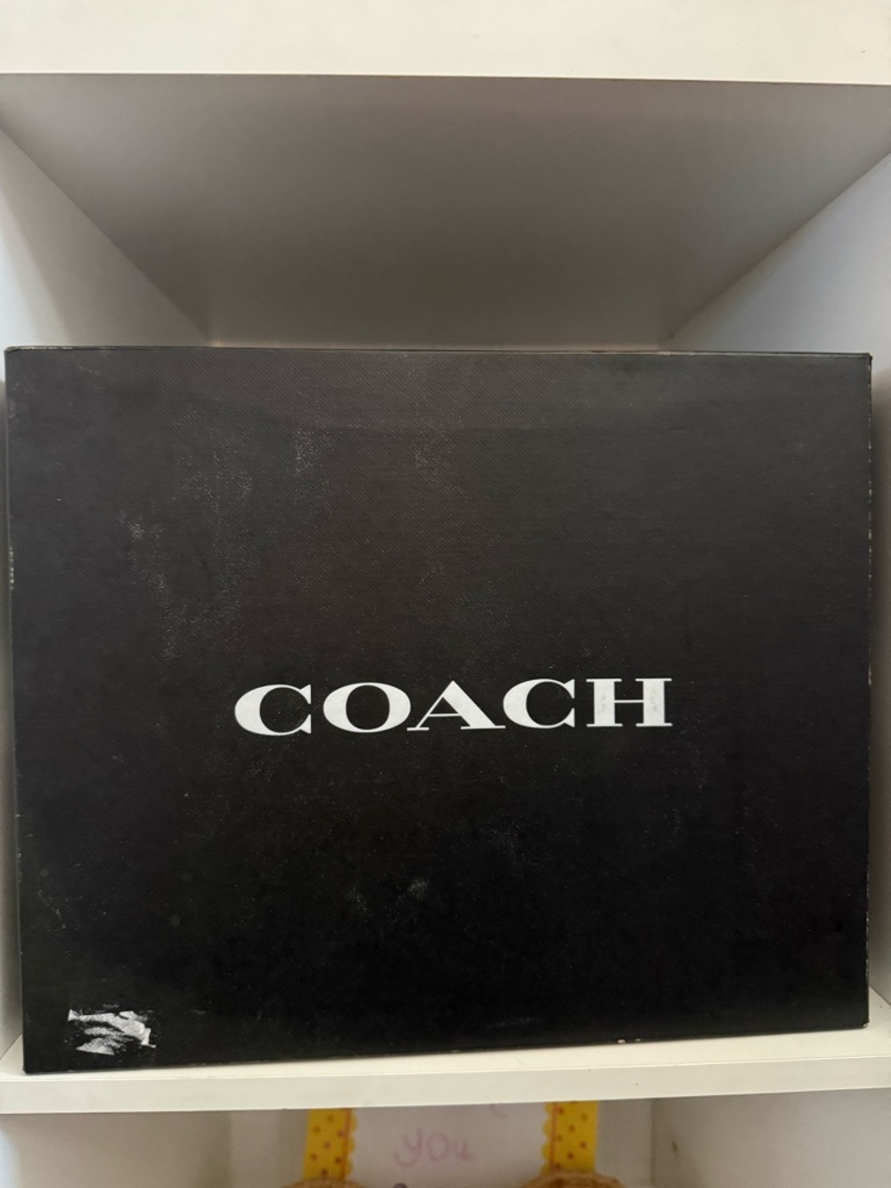 Coach Dylan Walnut Booties - Picture 8 of 16